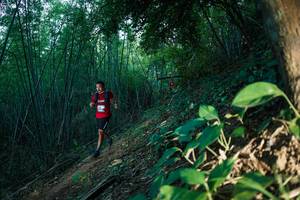 BIB: 
                            <button type="button" onclick="openModal(28124588)" class="btn btn-primary btn-sm float-right btn-popup" data-toggle="modal" data-target=".modal-high-quality">
                        <i class="fas fa-shopping-cart"></i> Add to Cart
                    </button>
                                            <button type="button" onclick="isThisMe(28124588, true)" class="btn btn-success btn-sm float-right btn-popup btn-isme hidden" data-toggle="tooltip" data-placement="bottom" title="นี่คือรูปของคุณใช่ไหม คลิกที่นี่เพื่อเอาเข้าอัลบั้ม">
                        <i class="fas fa-plus"></i> Add to album
                    </button>
                    <button type="button" onclick="isThisMe(28124588, false)" class="btn btn-warning btn-sm float-right btn-popup btn-isnotme hidden">
                        <i class="fas fa-ban"></i> Remove from album
                    </button>